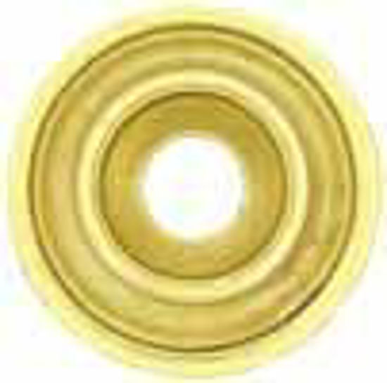 Picture of Backplate - Round Raised Convex