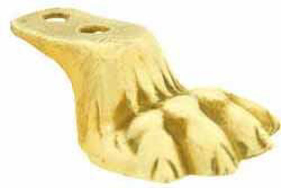 Picture of Foot - Lion Paw
